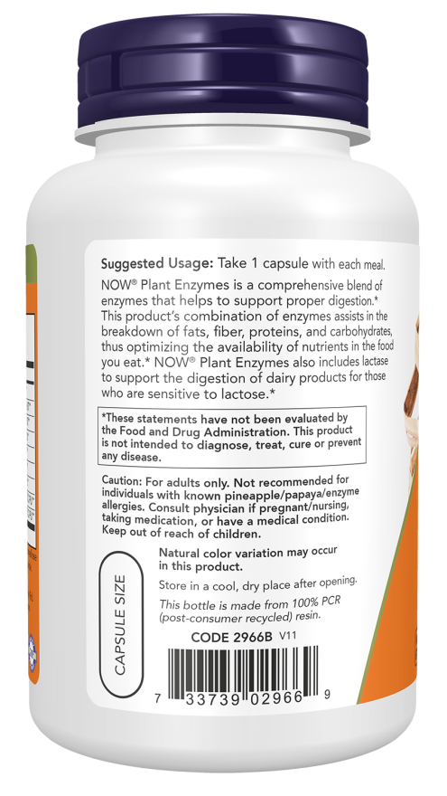 Now Plant Enzymes, 120 Veggie Capsules, Contains Lactase, Protease, Papain and Bromelain