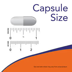 Now Graviola, 100 Veggie Capsules, 500 mg, Healthy Cell Function, Antioxidante