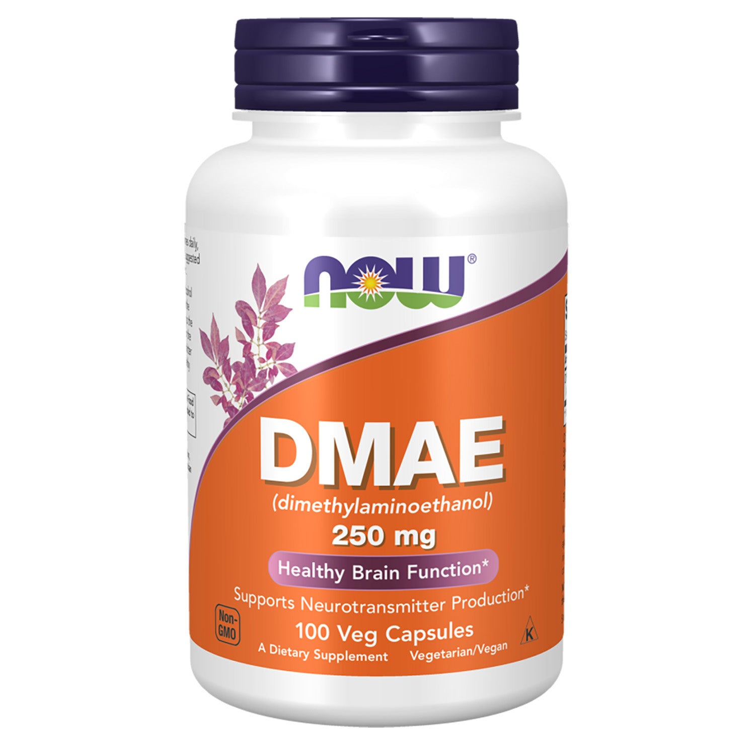 Now DMAE, 100 Veggie Capsules, 250 mg, Improve Healthy Brain Function, Supports Neurotransmitter Production