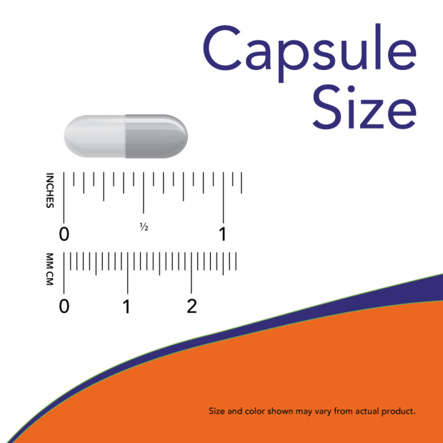 L-Theanine 200gm - 60 Veg Capsules