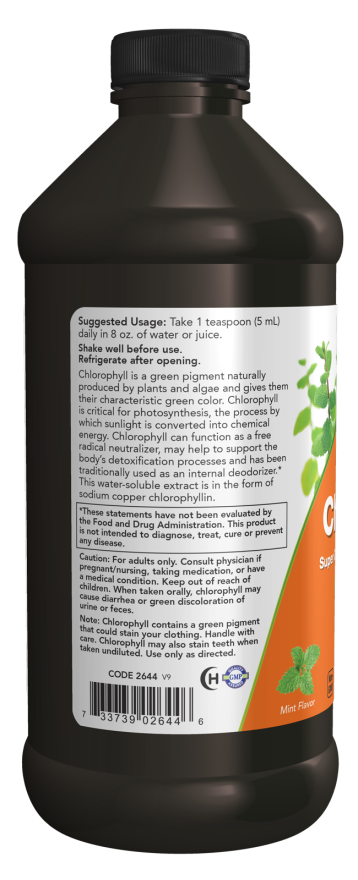 Liquid Chlorophyll 473ml - Natural Mint