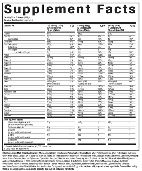 Mass Tech Extreme 2000 2.72 kg - nutrimarketae