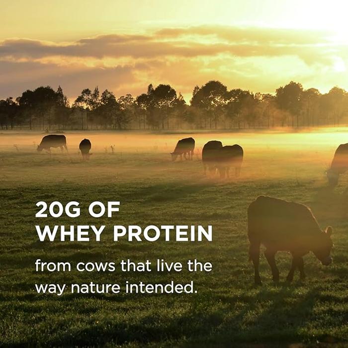 Solgar Grass Fed Whey to Go, Chocolate, 377g, 20 Grams of Grass-fed Protein